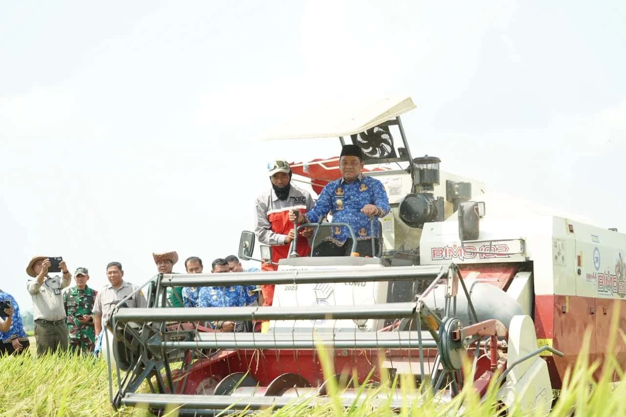 Bupati Luwu dan pendamping berada pada mesin pemanen padi di sawah Rante Damai