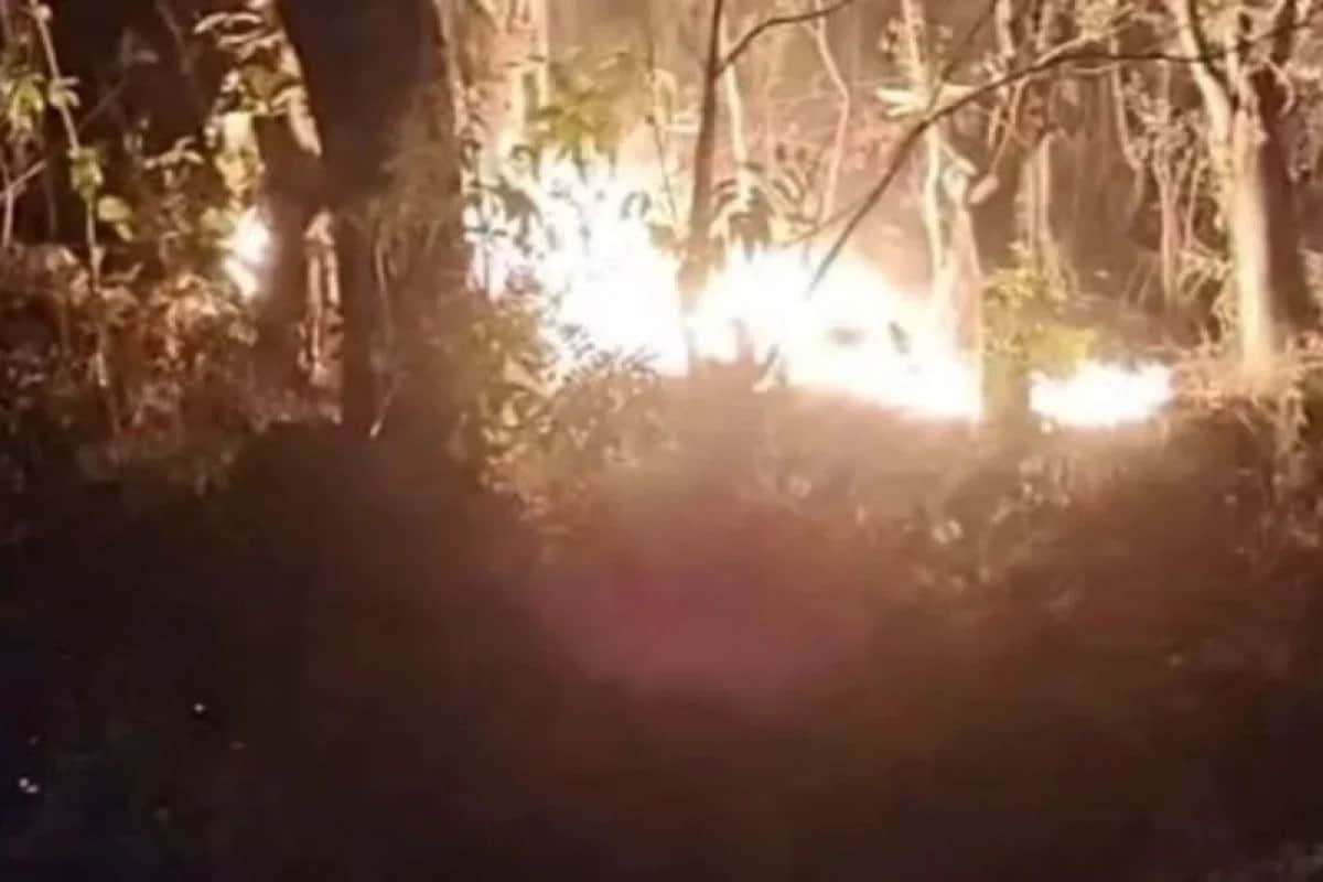 Bekas kebakaran hutan di kawasan Wattang Bacukiki, Parepare, saat petugas memperketat pemantauan titik api