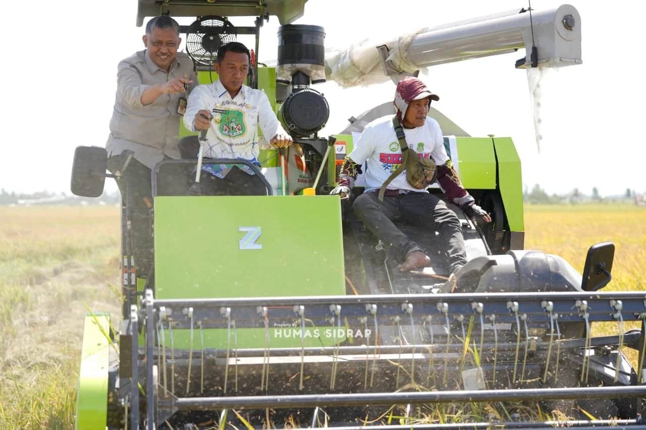 Panen perdana PM-AAS di lahan sawah Kelurahan Majjelling Wattang, Sidrap