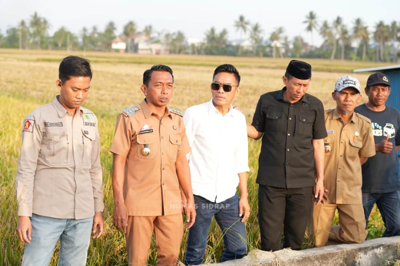 Syaharuddin Alrif berbaju dinas cokelat berdiri bersama rombongan di tepi sawah dan saluran air