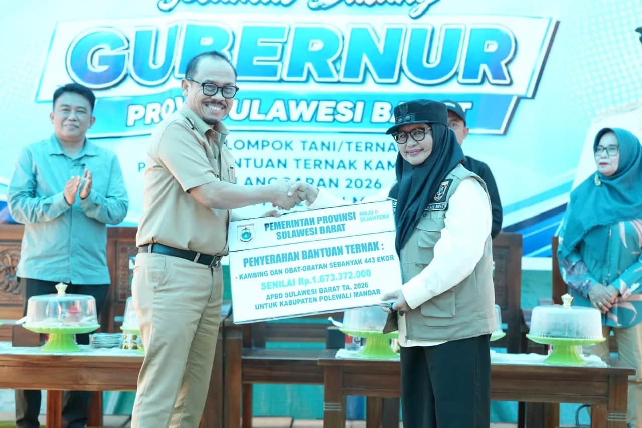 Gubernur Sulbar Suhardi Duka menyerahkan bantuan ternak kepada kelompok tani di Majene