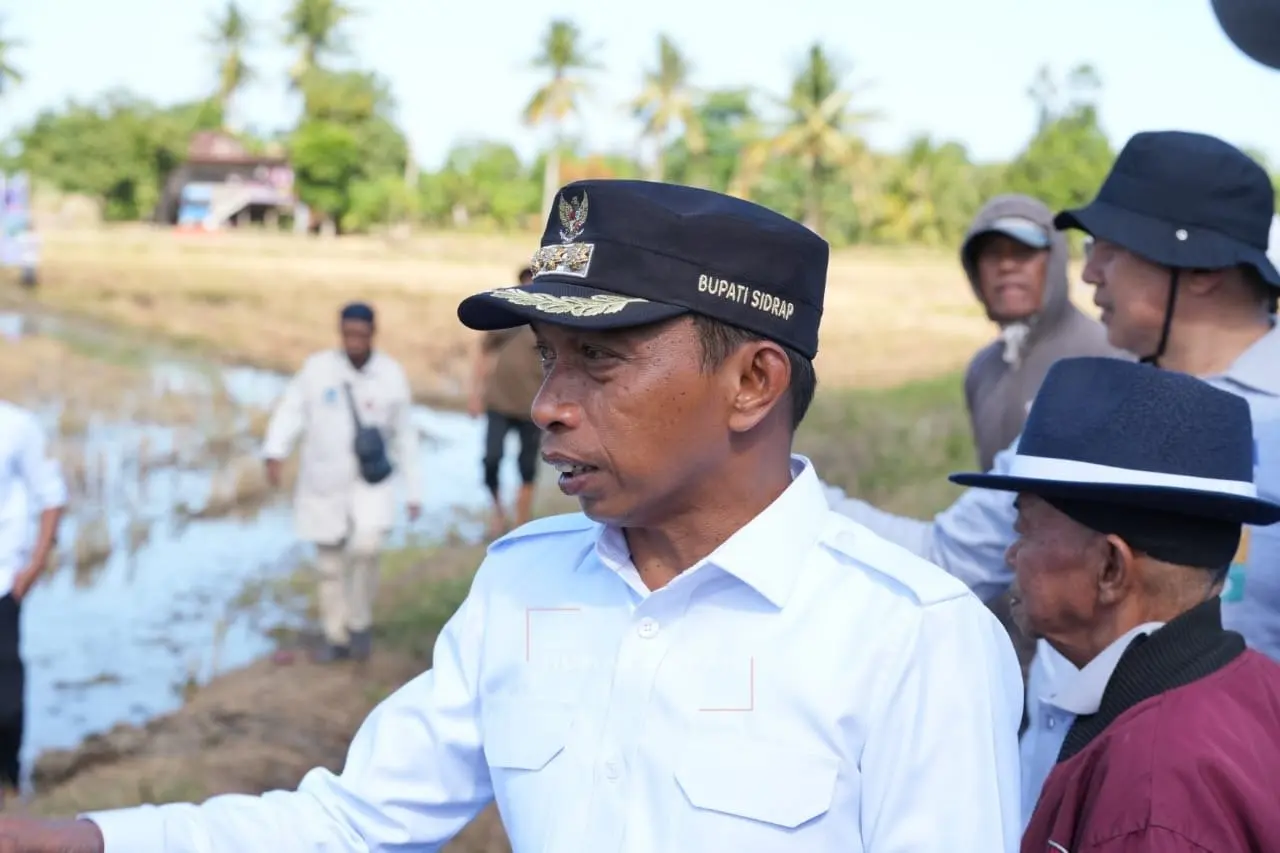 Syaharuddin Alrif meninjau pengolahan sawah program IP300 di Desa Botto, Sidrap